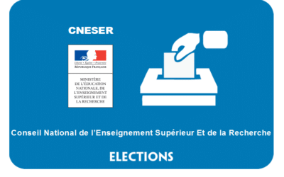 Élections 2019 au CNESER : les représentants du personnel seront élus le 13 juin prochain