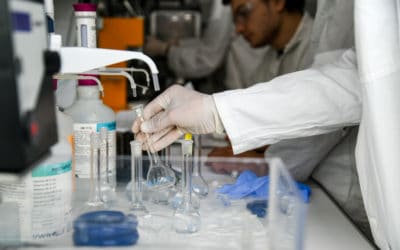 École universitaire de recherche XL-Chem : des chimistes entrepreneurs d’avenir