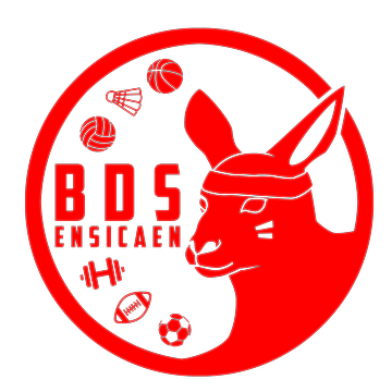 Logo BDS Officiel