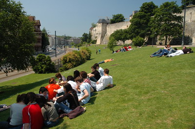 Caen terra de criação