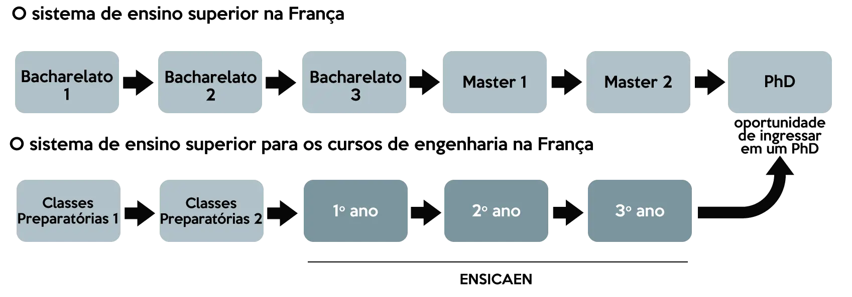 la formazione universitaria francese 